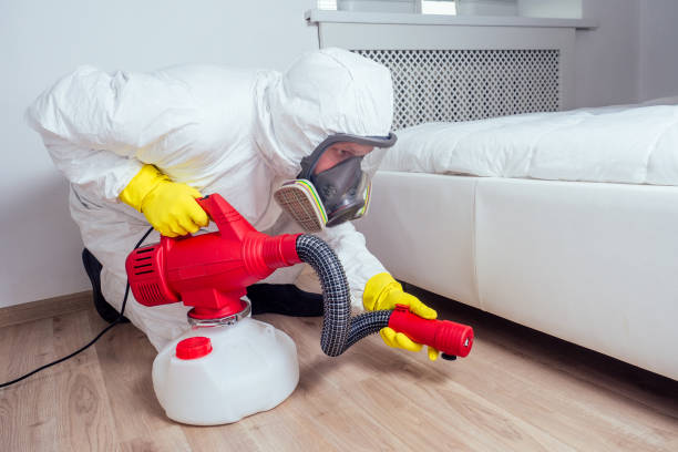 Best Bed Bug Extermination  in Naples, FL